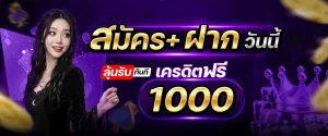 toybetflik ทางเข้าล่าสุด 2026